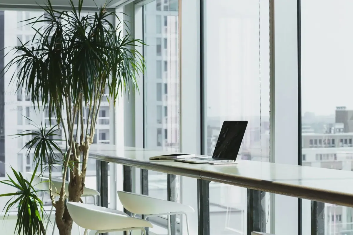 Elevate Your Monroe, GA Workspace: Commercial Office Remodeling Tips and Insights